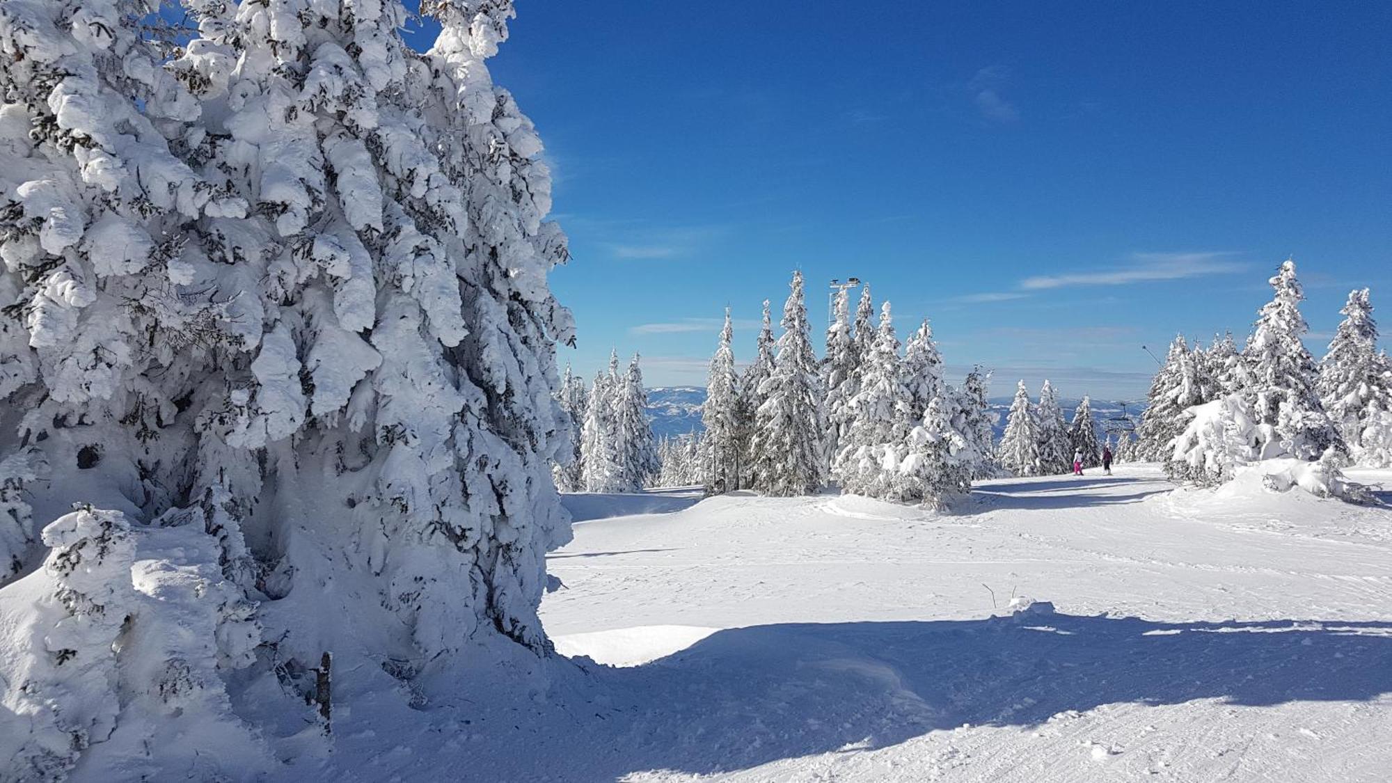 Marrilux apartments-MILMARI RESORT Kopaonik Extérieur photo